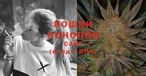 mix Богородицк